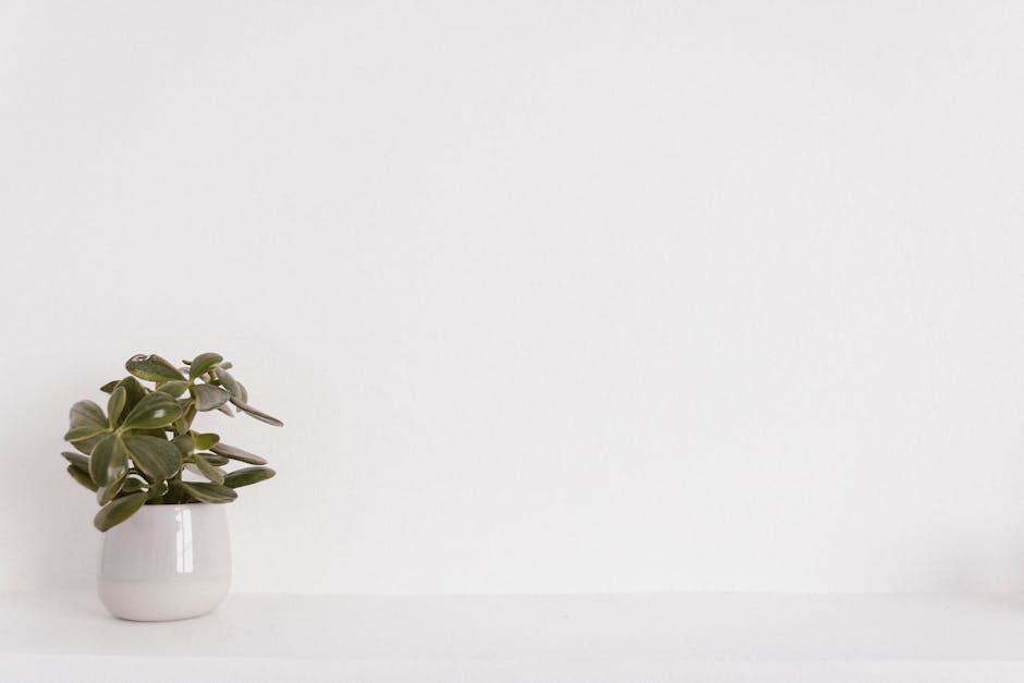 DIY Furniture for a Minimalist Aesthetic